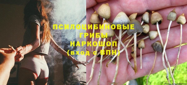 a pvp Надым