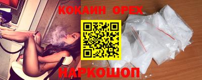 стаф Гай
