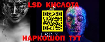 стаф Гай