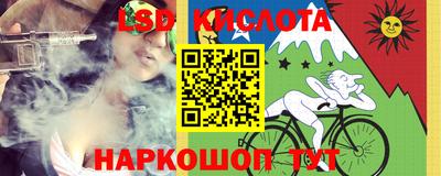 стаф Гай