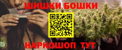 стаф Гай