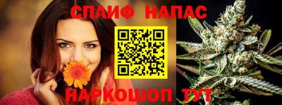 стаф Гай